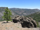 photo thumbnail #14