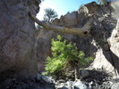photo thumbnail #7