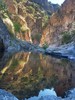 Featured Full Photo