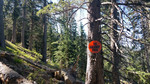 photo thumbnail #1