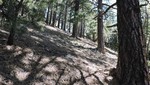 photo thumbnail #3