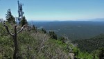 photo thumbnail #5