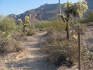 photo thumbnail #3