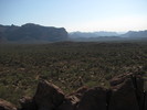 photo thumbnail #4