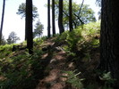 photo thumbnail #7