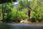 photo thumbnail #7