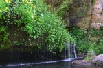 photo thumbnail #11