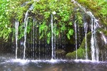 photo thumbnail #12