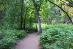 photo thumbnail #2
