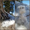 photo thumbnail #6