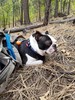 photo thumbnail #5