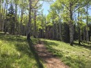 photo thumbnail #1