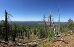 photo thumbnail #4