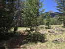 photo thumbnail #14