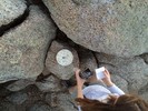 photo thumbnail #3