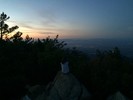 photo thumbnail #4