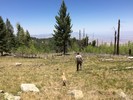 photo thumbnail #6