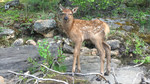 photo thumbnail #5