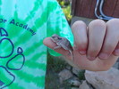photo thumbnail #3