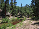 photo thumbnail #4