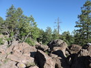 photo thumbnail #3