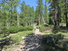 photo thumbnail #2