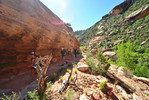 photo thumbnail #5