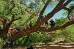 photo thumbnail #7