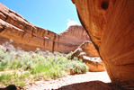 photo thumbnail #11