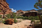 photo thumbnail #15