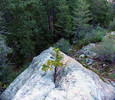photo thumbnail #3
