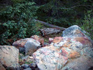 photo thumbnail #4