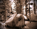 photo thumbnail #9