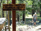 photo thumbnail #5