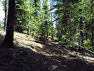photo thumbnail #15