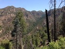 photo thumbnail #8