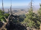 photo thumbnail #13