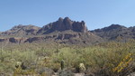 photo thumbnail #1