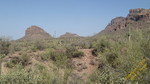 photo thumbnail #3