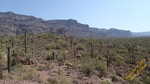 photo thumbnail #7