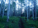 photo thumbnail #1