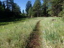 photo thumbnail #4