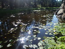 photo thumbnail #6