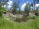 photo thumbnail #14