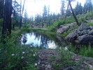 photo thumbnail #15