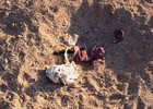 photo thumbnail #4