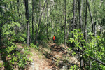 photo thumbnail #2