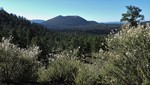 2016-06-12 :2: O