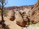 photo thumbnail #5