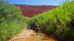 photo thumbnail #2